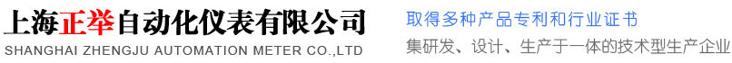 上海正举自动化仪表有限公司